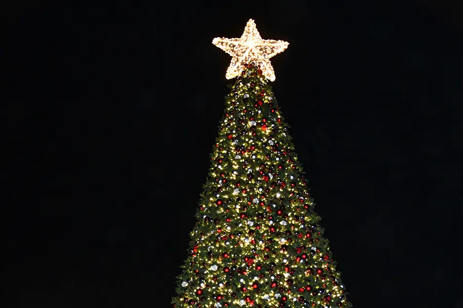 Lit Christmas tree at night with star at the top of the tree.