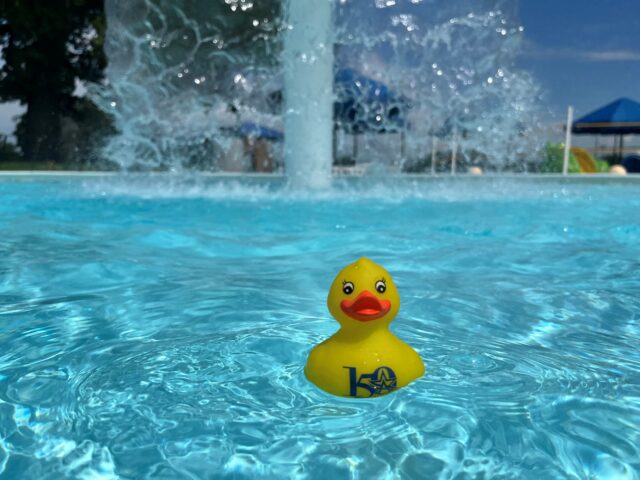 Have you picked up your 150th anniversary duck yet?
This summer, City of Arlington Aquatics is turning up the summer fun for Arlington's sesquicentennial with Dogs, Ducks & Dives at the Randol Mill Family Aquatic Center and Bad Königshofen Family Aquatic Center.

Get free, limited-edition Arlington150 rubber duck (while supplies last!) with each $1.50 hot dog purchased at a pool concession stand on Thursdays this summer.
#Arlington150